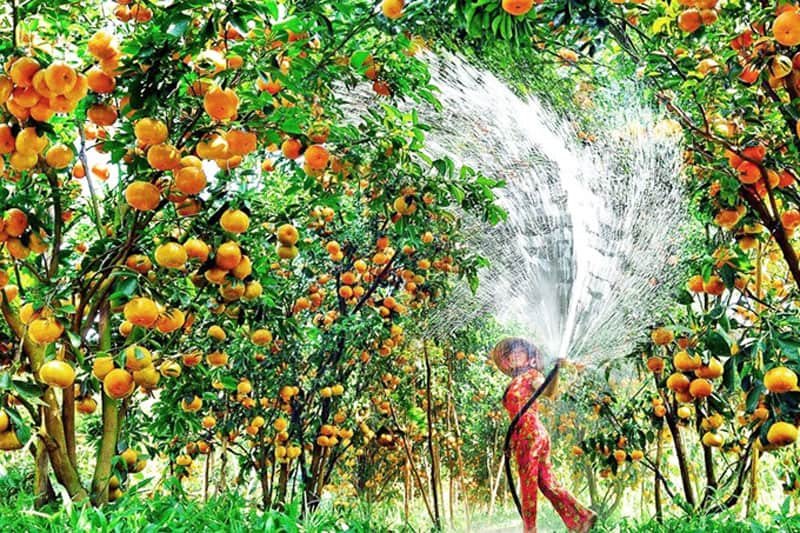 Làng du lịch Mỹ Khánh Cần Thơ